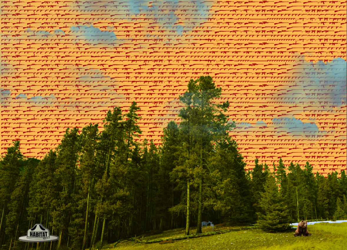 Forest Fires